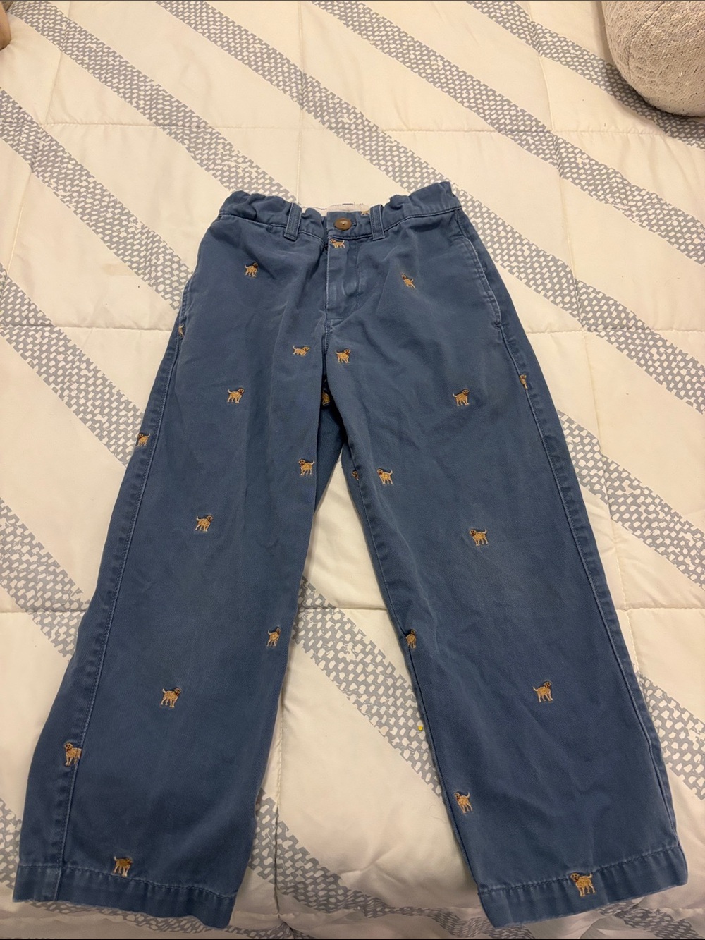 Boy’s Crew Cuts Golden Retriever Chino pants
